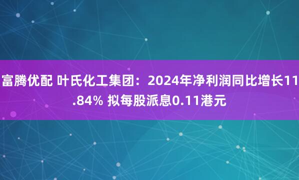 富腾优配 叶氏化工集团：2024年净利润同比增长11.84% 拟每股派息0.11港元